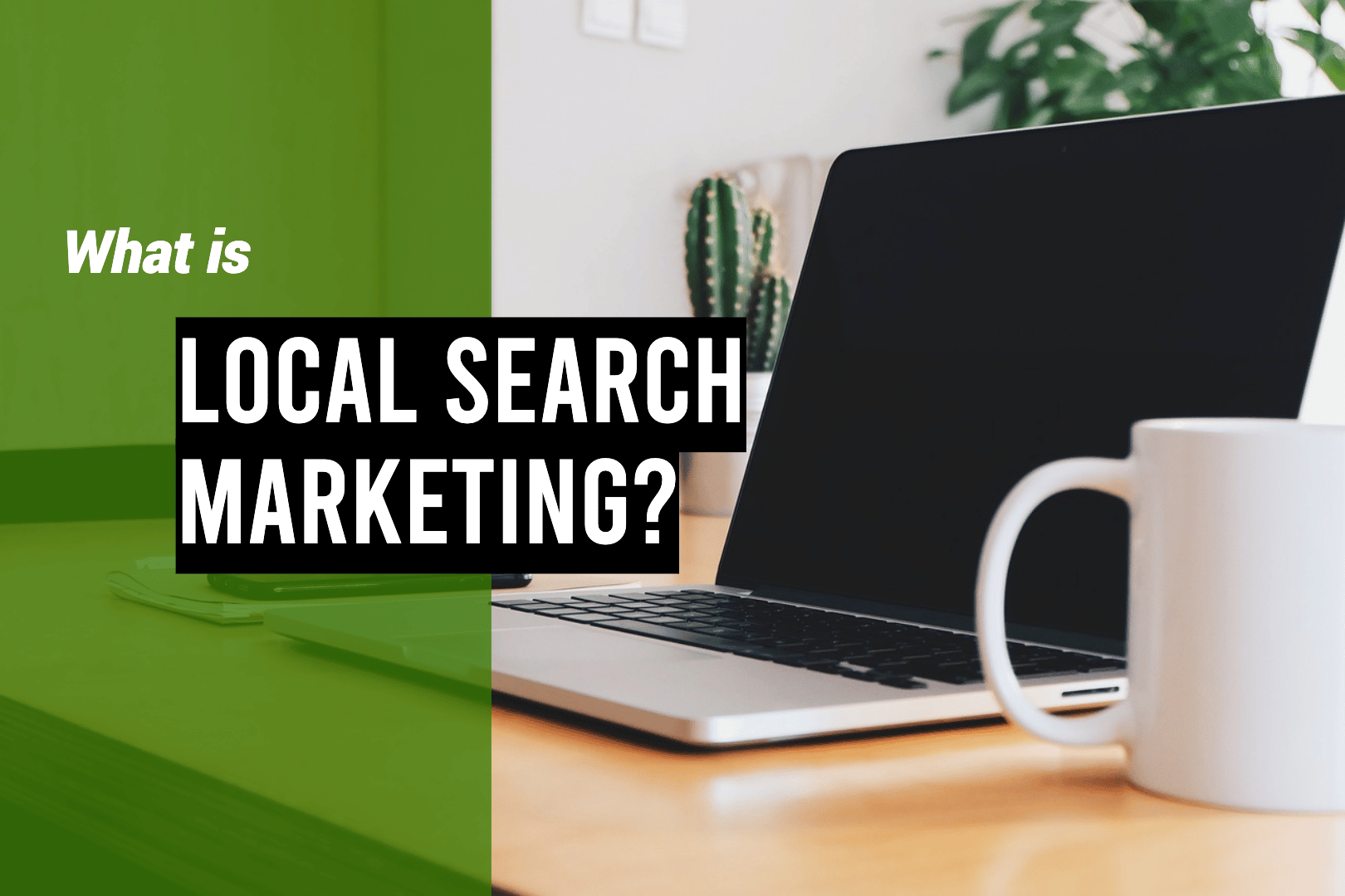 local search marketing