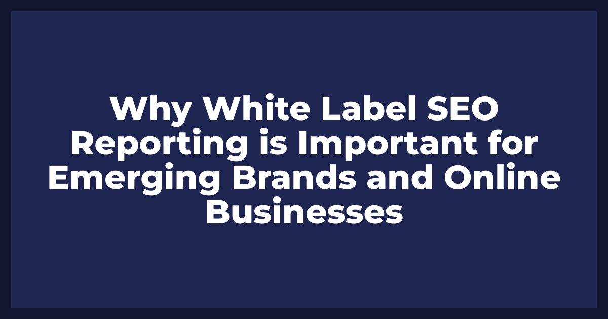 Why White Label SEO Reporting is Important for Emerging Brands and Online Businesses